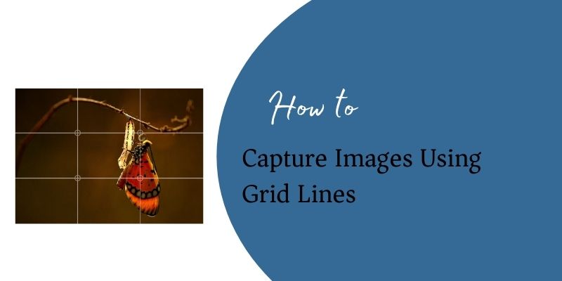 capture Images Using Grid Lines