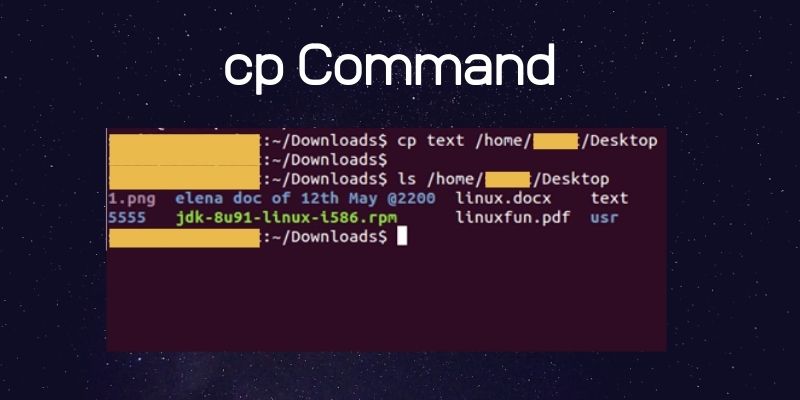 cp Command