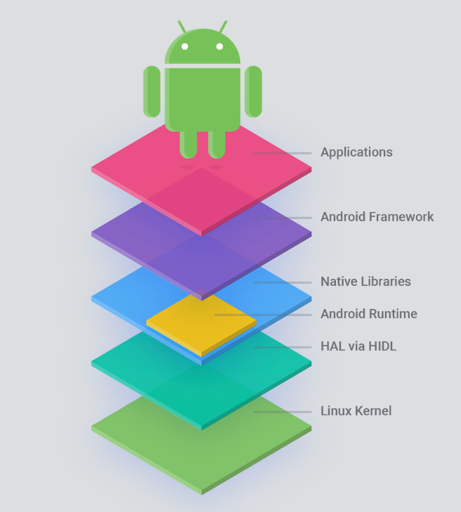 android structure