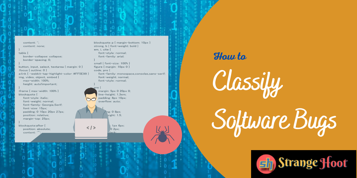 How to Classify Software Bugs?