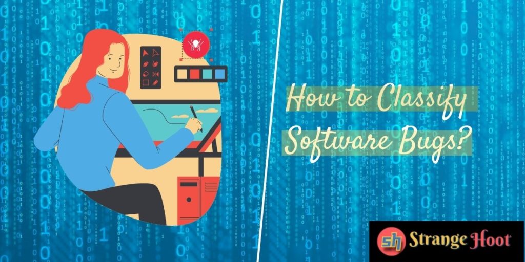 How to Classify Software Bugs