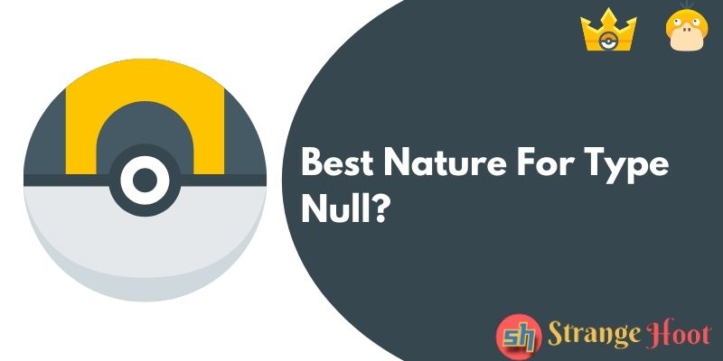 Best Nature For Type Null?