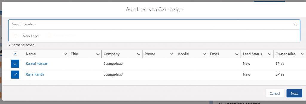 add leads to campaigns