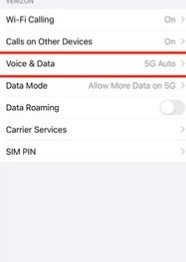 change 5G auto from voice & data