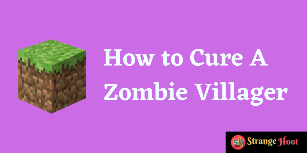 How to Cure A Zombie Villager