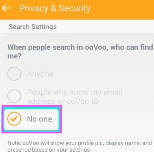 select No one from privacy and security 