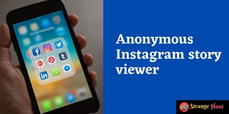 Anonymous Instagram story viewer - Strange Hoot