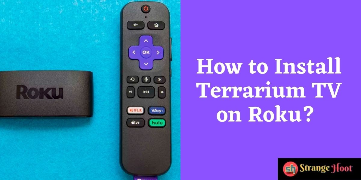 Install Terrarium TV on Roku
