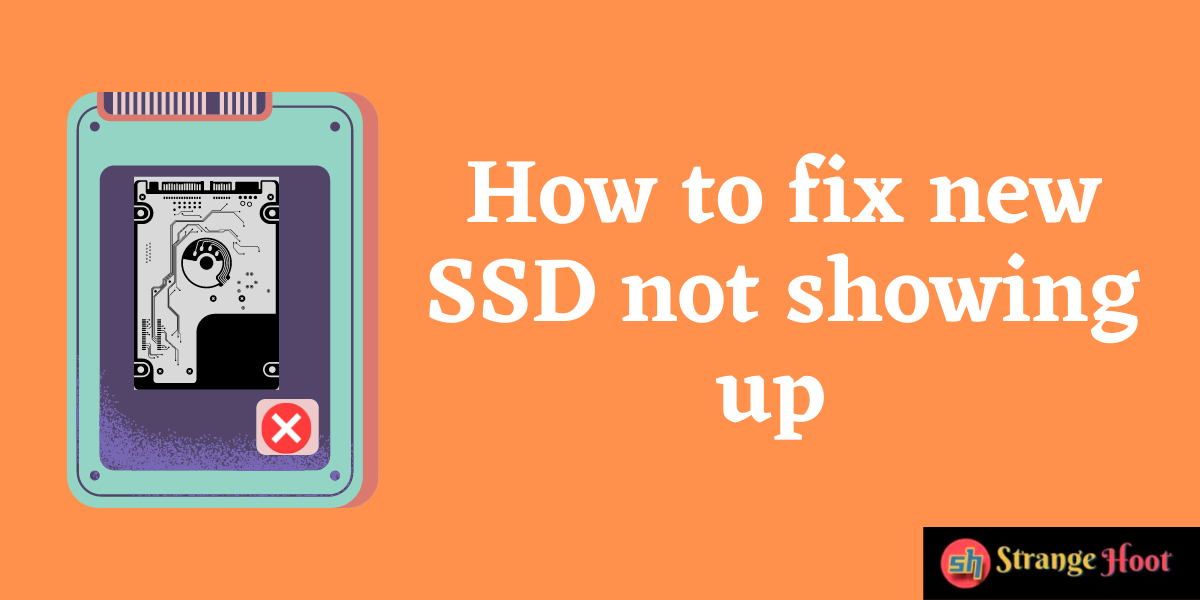 How to Fix New SSD not Showing up