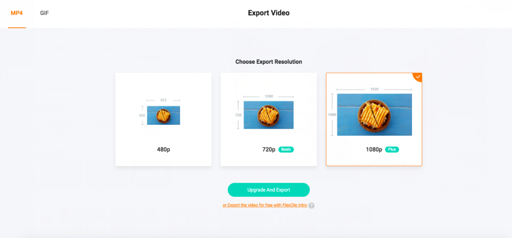 export video in Mp4 and gif format